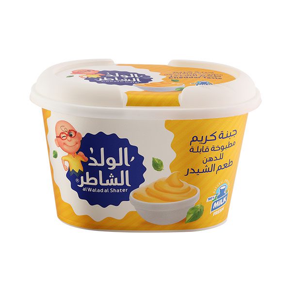 Creamy Cheese Spread Cheddar Taste