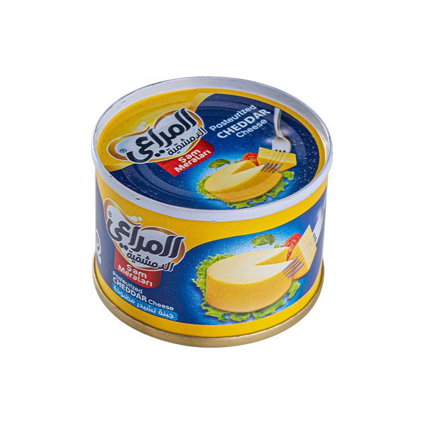 Cheddar Processed Cheese